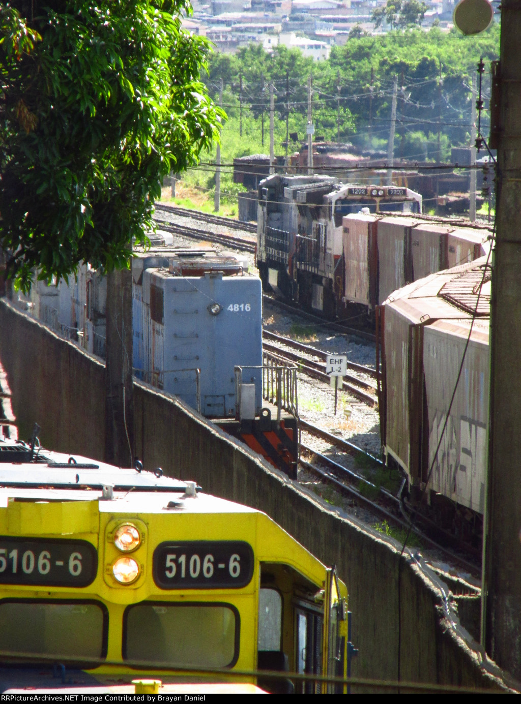 VLI 4816